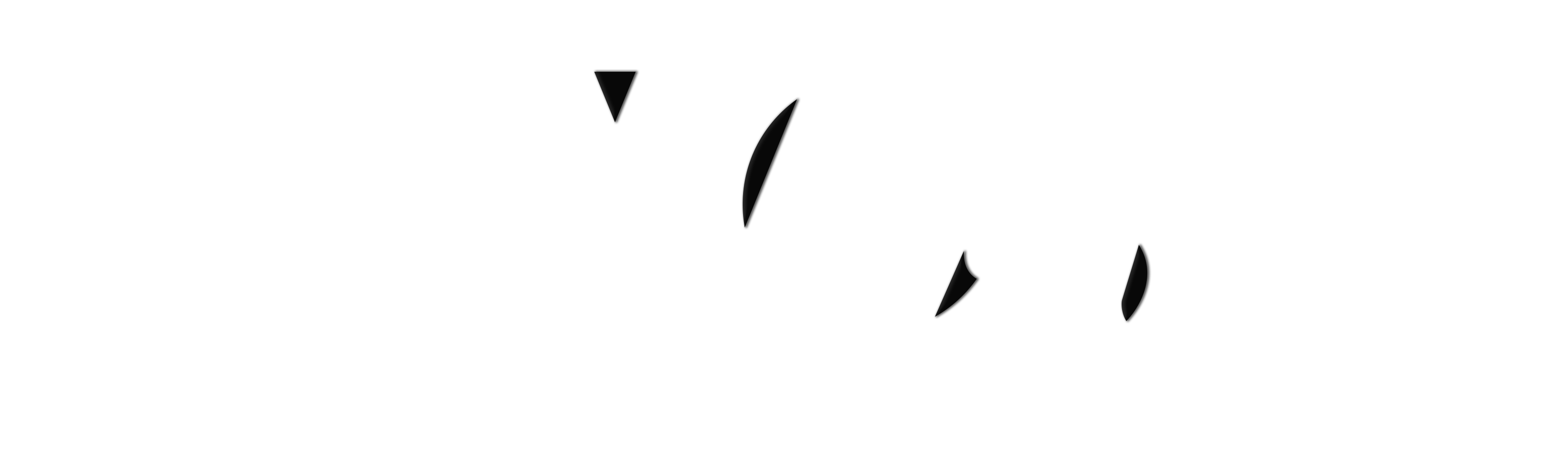 Chaosea Studios